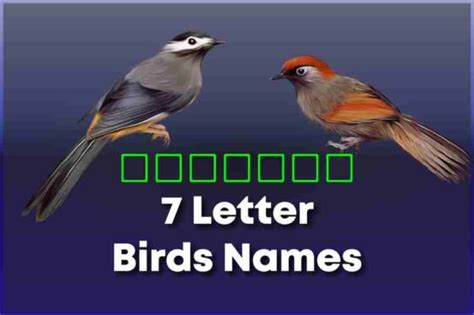 too hard to catch 7 letters bird